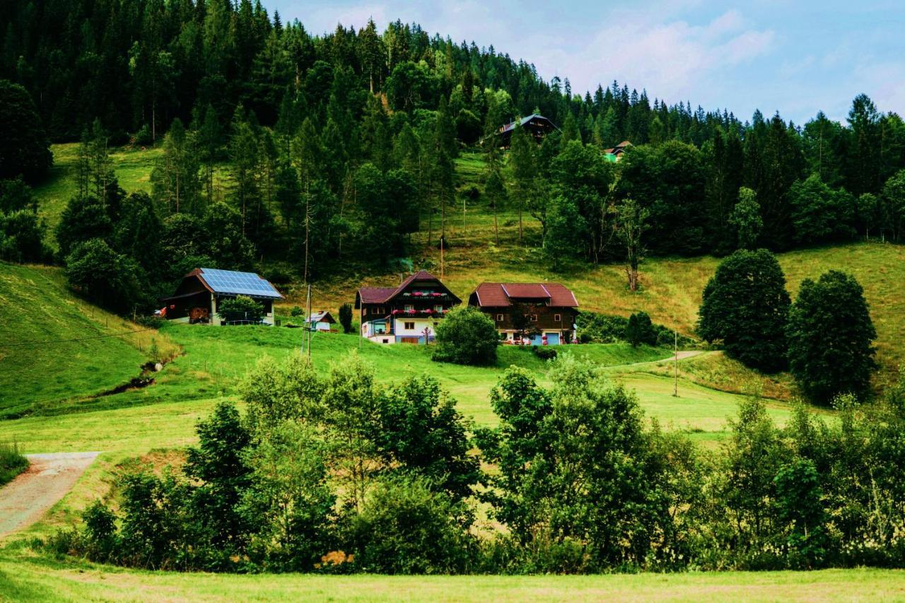 Appartement Vidmar-Wintertraum Arriach Bagian luar foto
