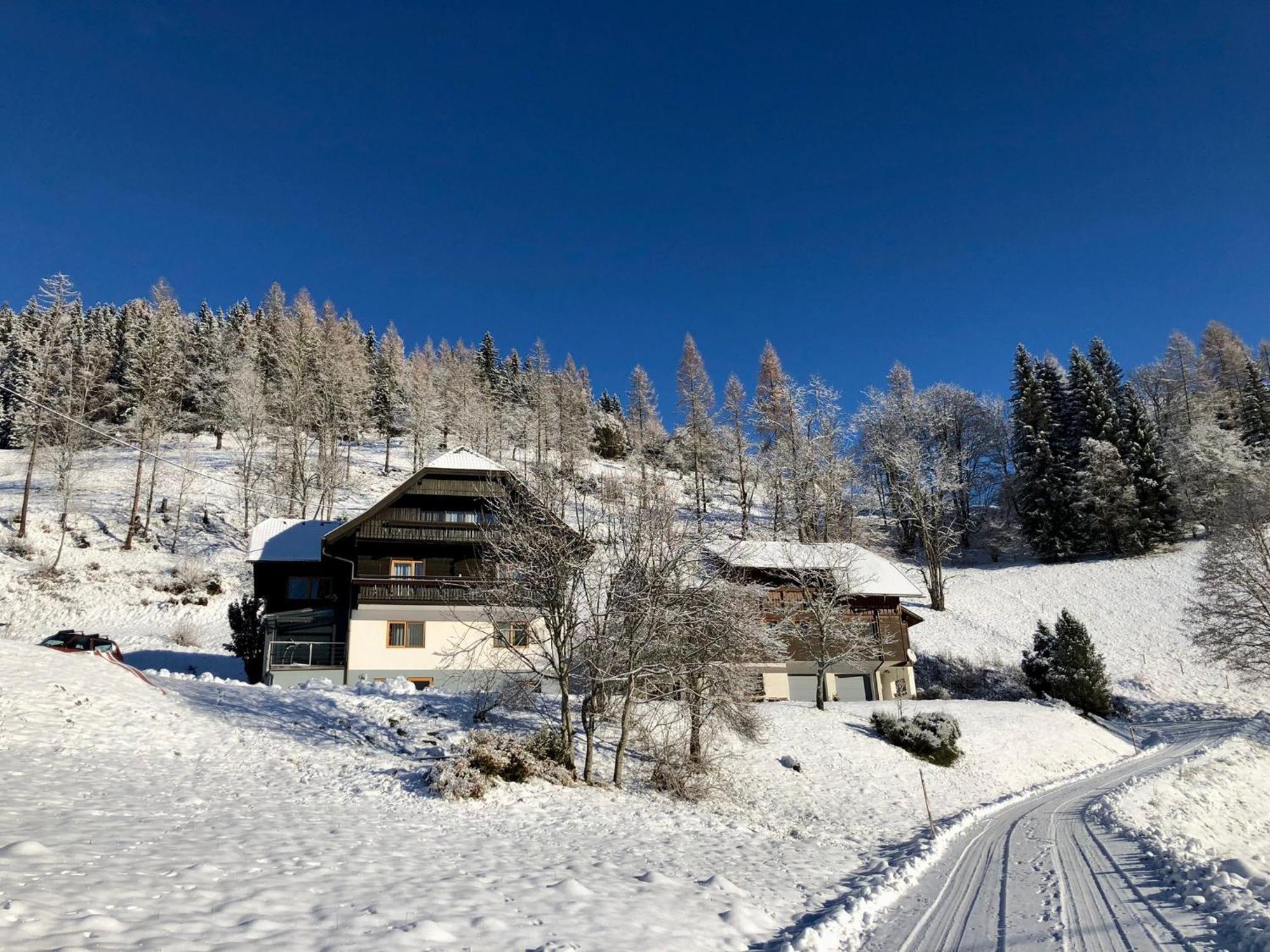 Appartement Vidmar-Wintertraum Arriach Bagian luar foto