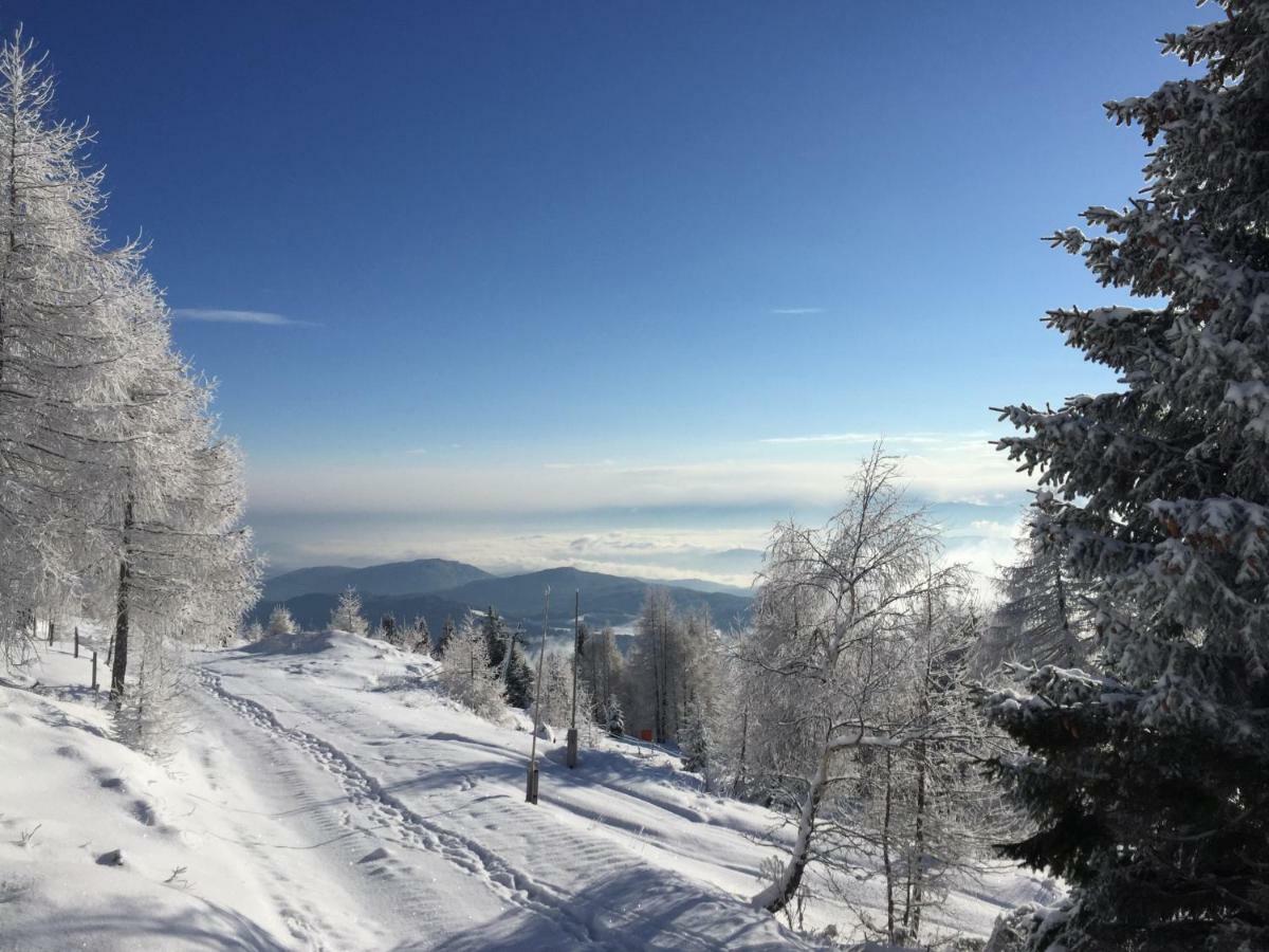 Appartement Vidmar-Wintertraum Arriach Bagian luar foto